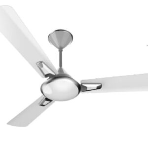 Decorative Ceiling Fan Installation