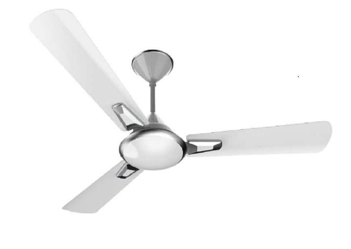 Decorative Ceiling Fan Installation
